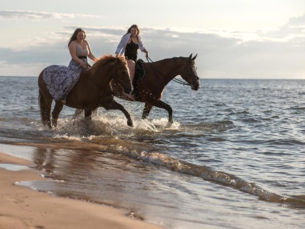 Ausreiten am Ostseestrand