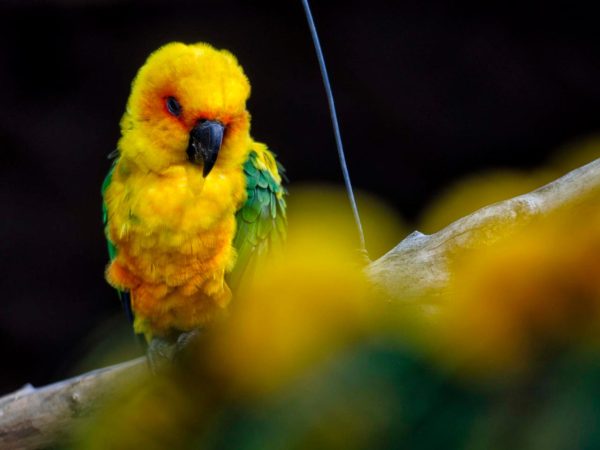 Familienausflug in den Vogelpark