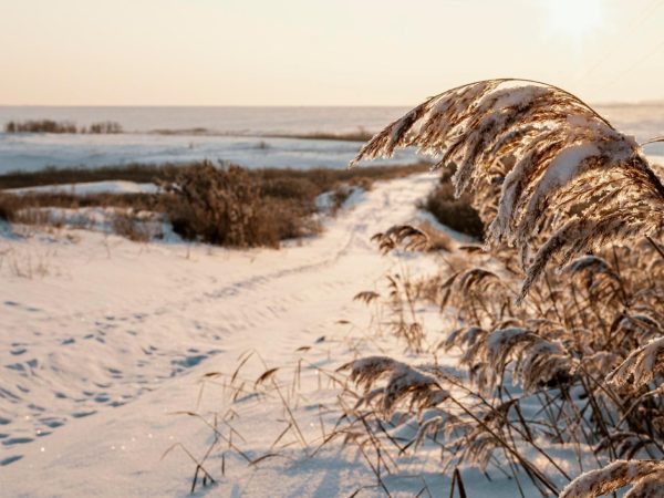 Winterzauber in der Nebensaison direkt an der Ostsee - MOMENTIC